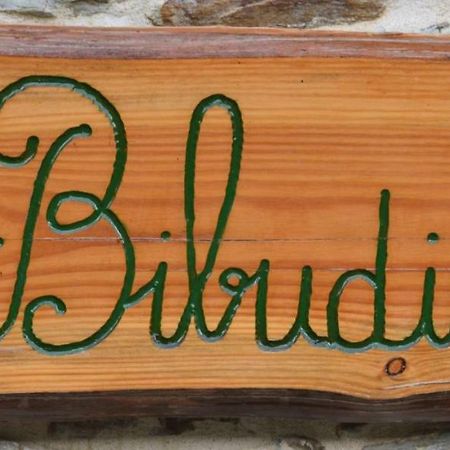 Gites De La Bibudiere Le Boupere Bagian luar foto
